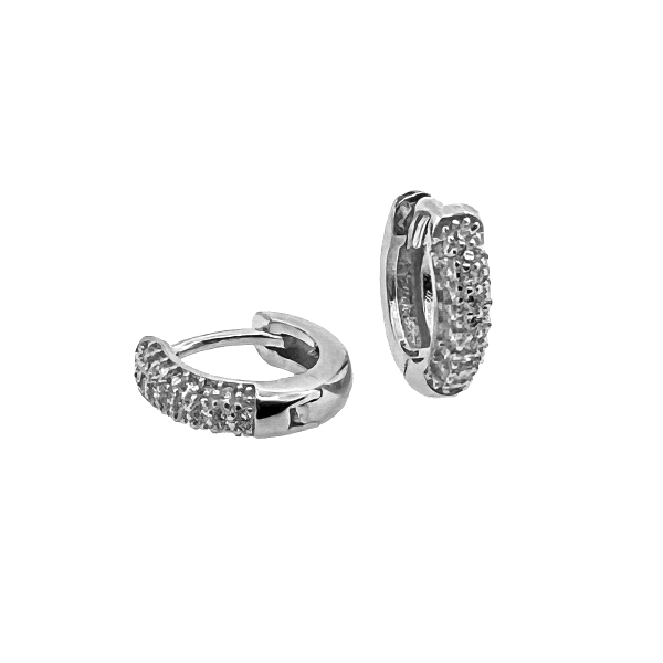 PENDIENTES UNISEX MUJER PLATA 1ª LEY 12