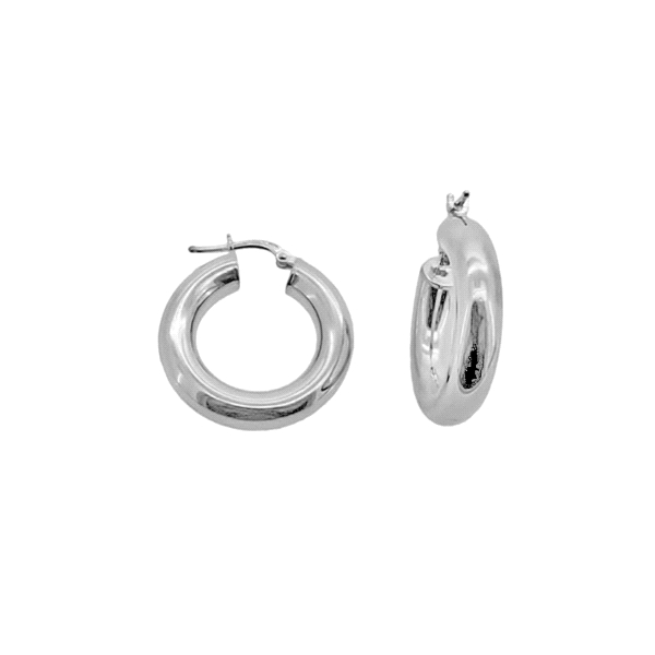 PENDIENTE ARO BRILLO PLATA 1ª LEY 5 X 25