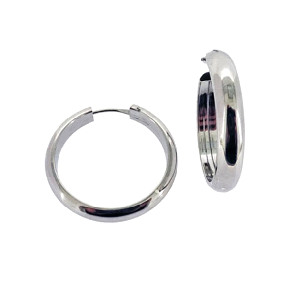 PENDIENTE AROS PLATA 1ª LEY RODIADOS