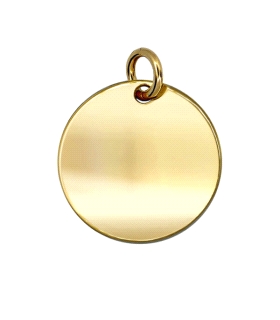 COLGANTE DISCO PLATA 1ª LEY CHAPADA 18