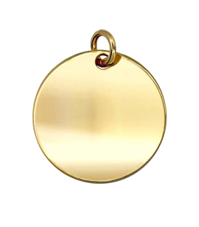 COLGANTE DISCO PLATA 1ª LEY CHAPADA 22
