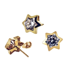ESTRELLA PENDIENTE ORO 1ª LEY ZIRCONITAS