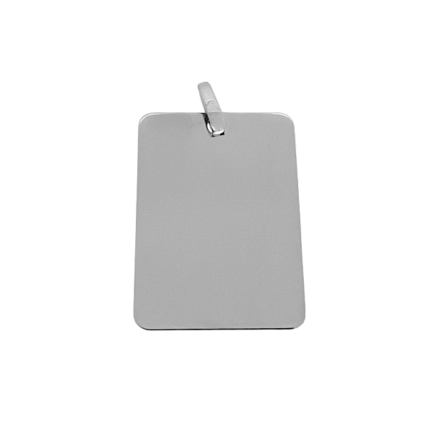 PLACA ORO BLANCO 18 KTES. BRILLO 24 X 17