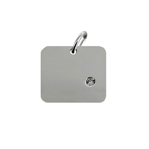 COLGANTE DIAMANTE ORO BLANCO 1ª LEY 0,01