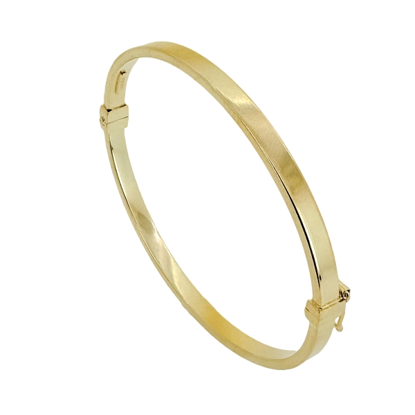 PULSERA RIGIDA BRILLO PLATA 1ª LEY CHAPA                                                            