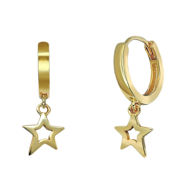 PENDIENTE AROS PLATA 1ª LEY CHAPADA 12                                                              