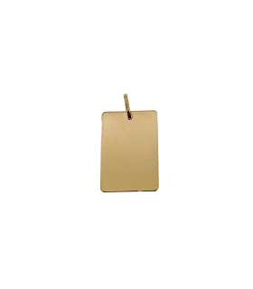 PLACA BRILLO ORO 18 KTES. 20 X 14 MM.                                                               