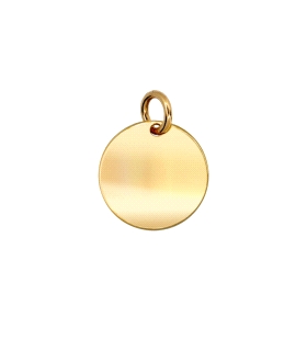 COLGANTE DISCO PLATA 1ª LEY CHAPADA 14 M                                                            