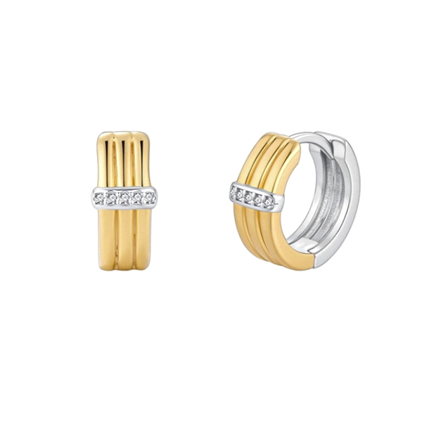 PENDIENTES CRIOLLA PLATA 1ª LEY 14 X 5 M                                                            