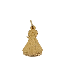 COLGANTE MEDALLA  VIRGEN DE GUADALUPE                                                               