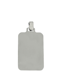 COLGANTE PLACA BRILLO PLATA 1ª LEY 29 X 20 X 1 MM.