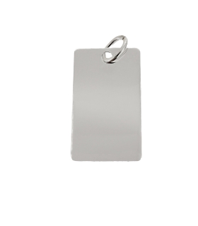 PLACA RECTANGULAR PLATA 1ª LEY 31 X 18 MM.