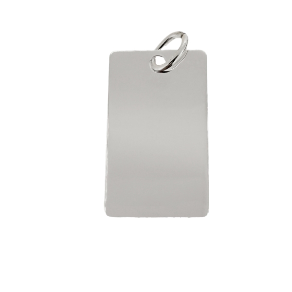 PLACA RECTANGULAR PLATA 1ª LEY 31 X 18 MM.