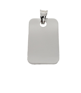 PLACA RECTANGULAR PLATA 1ª LEY 31 X 20 MM.